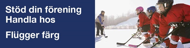 Ishockey