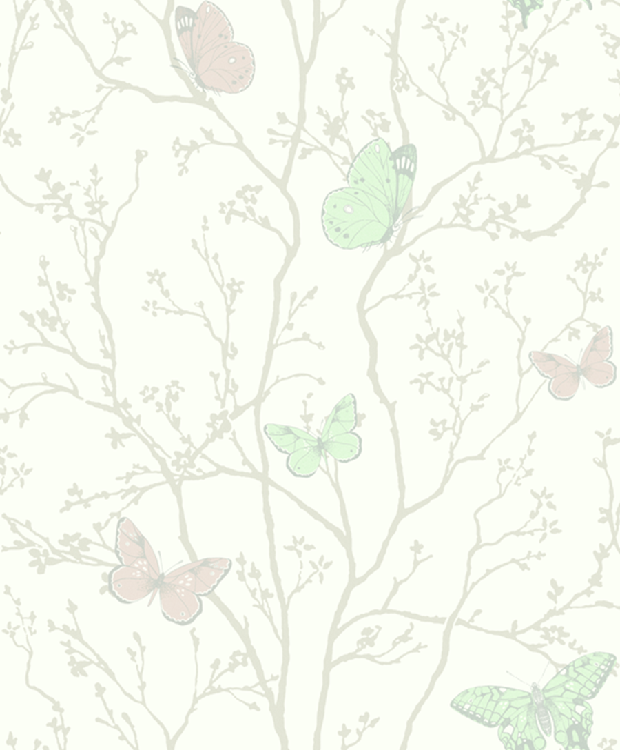 Magic Butterfly 560818