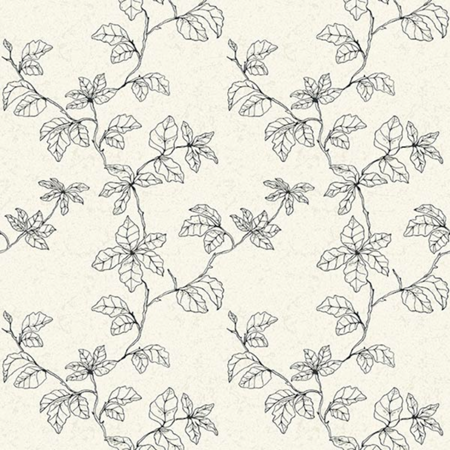 Shadows of branches 610312